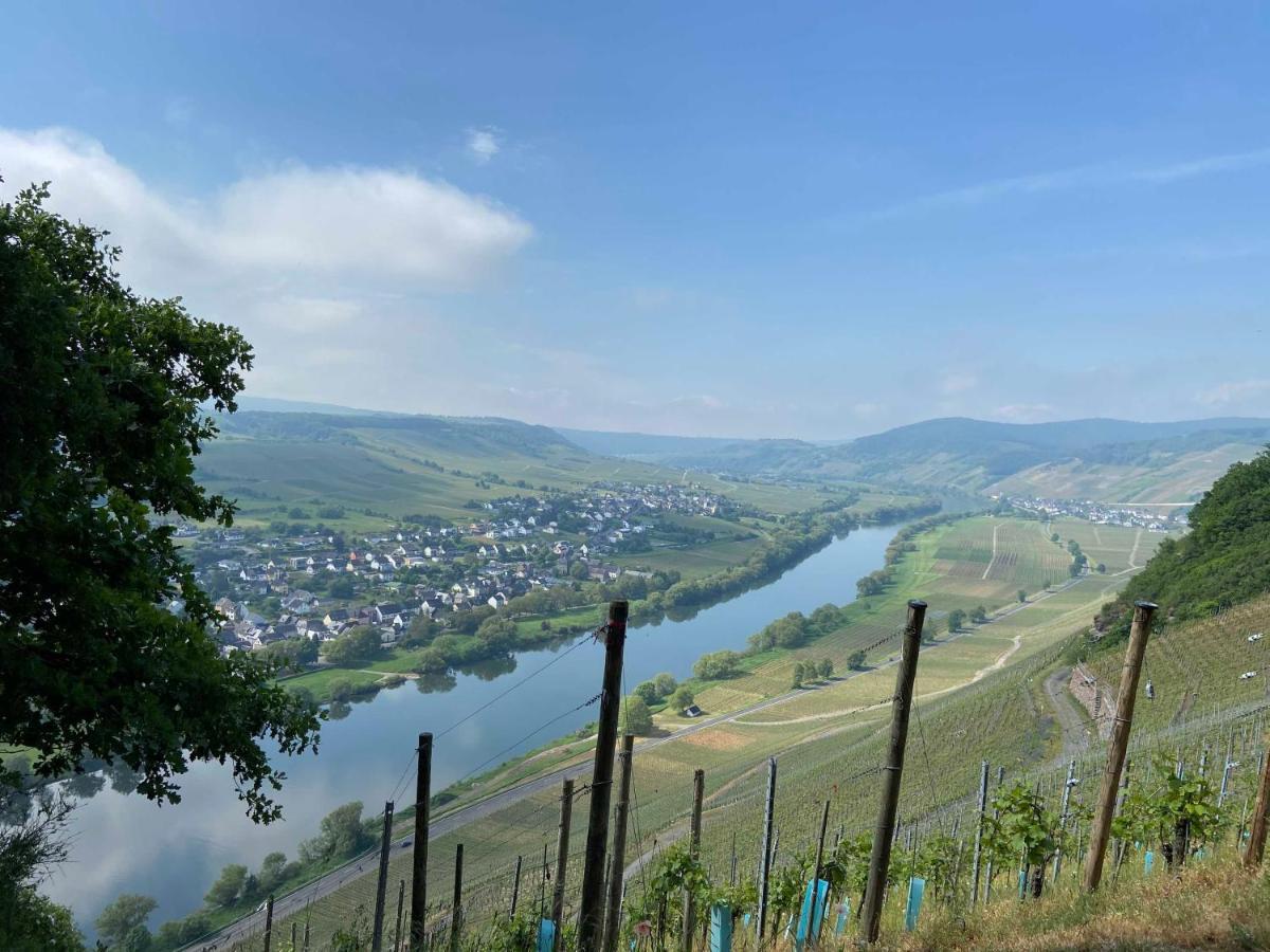 Neu!!! Moselbleibe Winzerhaus Kues Apartment Bernkastel-Kues Bagian luar foto